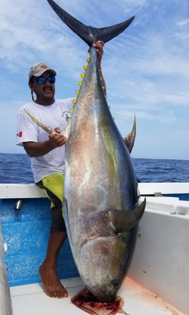 Puerto Vallarta Fishing Season Chart